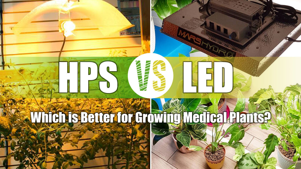 How to Choose Grow Lights among LED, HID and HPS?