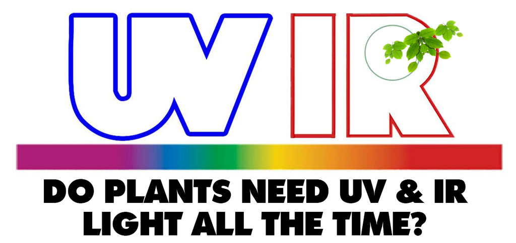 Do Plants Need UV & IR Light All The Time?