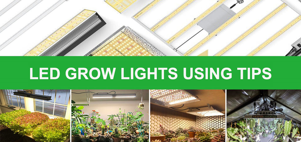 How to Grow Plants with LED Grow Lights ?