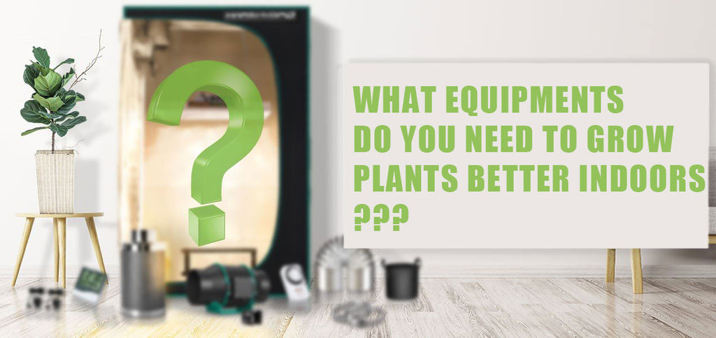 What Equipment Do You Need to Grow Plants Better Indoors?