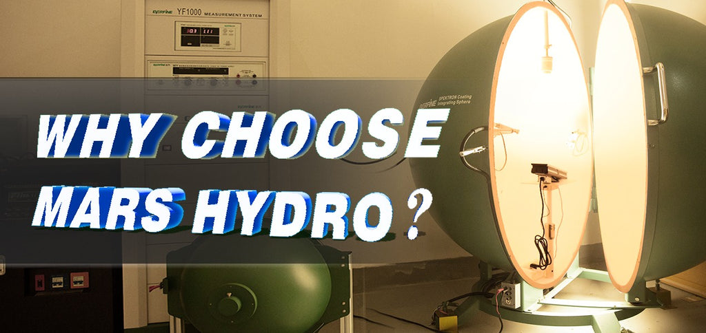 What You Should Know When Choosing LED Grow Light?