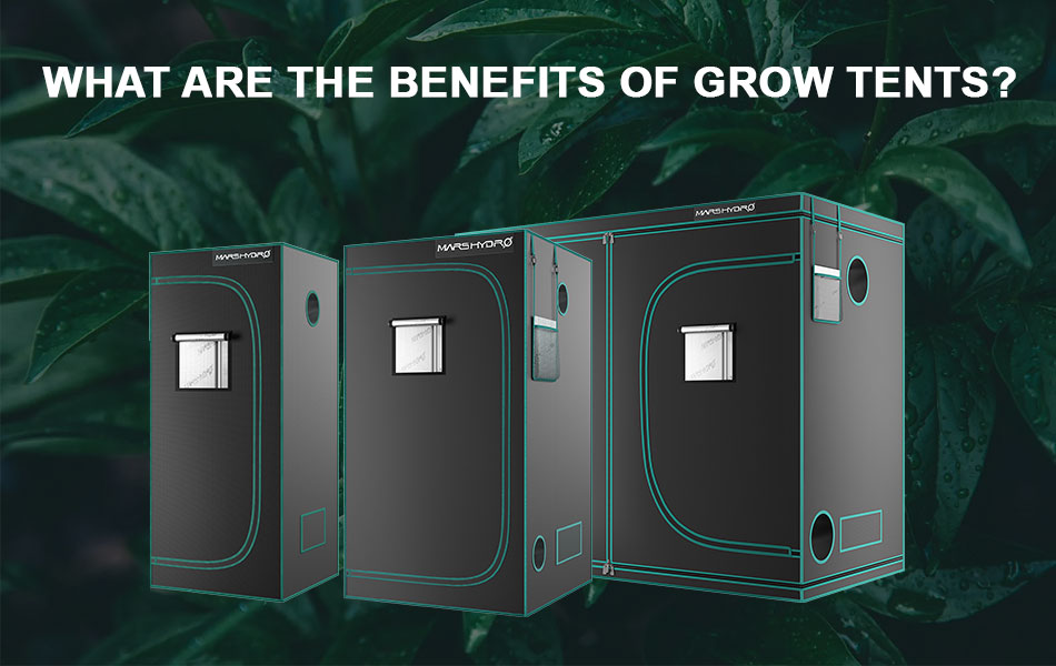 What are the benefits of grow tents?