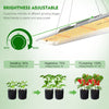 Mars Hydro TSL2000 300W LED Grow Lights + 120x60x180cm Indoor Grow Tent Hydroponics Grow Kits Veg Flower Combo